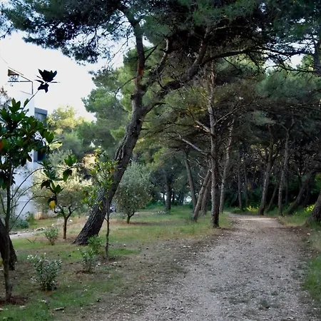 Amazing Luxury 200 M From The