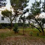 Amazing Luxury 200 M From The *