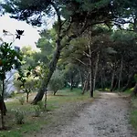 Amazing Luxury 200 M From The